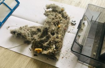 vacuum cleaner smells